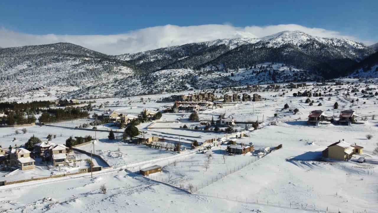 Chalet Renata 1 Livadi Arachovas Kalívia 외부 사진